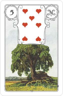 Mehr über den Artikel erfahren Lenormand Baum Bedeutung