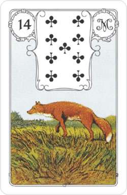 Mehr über den Artikel erfahren Lenormand Fuchs Bedeutung