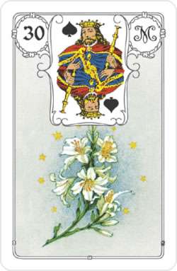 Mehr über den Artikel erfahren Lenormand Lilien Bedeutung